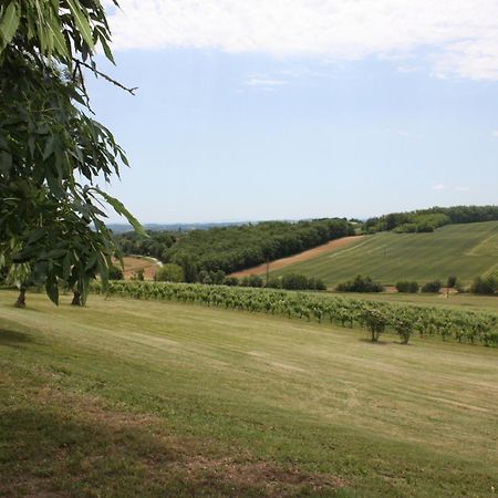 Domaine De Perches Bed & Breakfast Gaillac Exterior photo