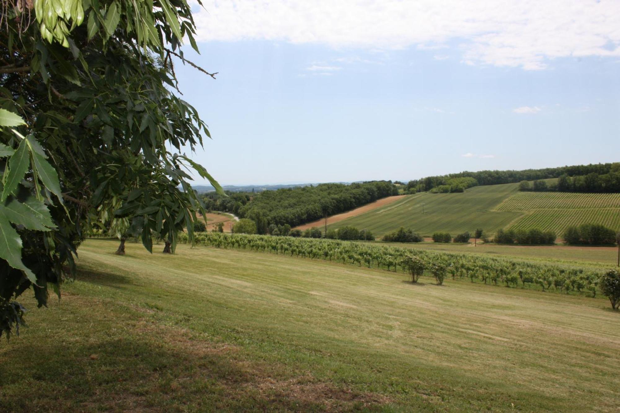 Domaine De Perches Bed & Breakfast Gaillac Exterior photo
