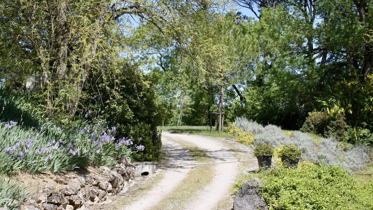 Domaine De Perches Bed & Breakfast Gaillac Exterior photo